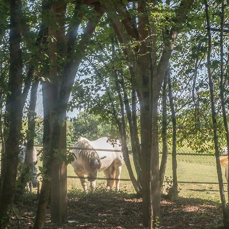 Bois Des Nauzes Villa Seyches Bagian luar foto